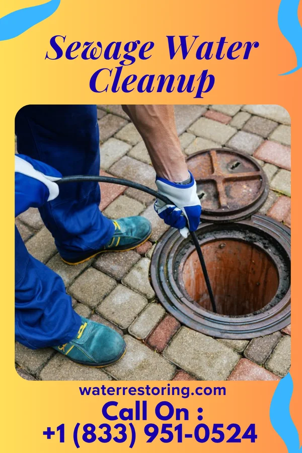 Sewage Water Cleanup in Fort Valley, GA